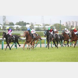 前走の水無月Ｓで②着（左）