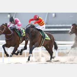 ３月に名古屋大賞典で重賞Ⅴ