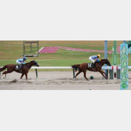 古町Ｓで連対確保