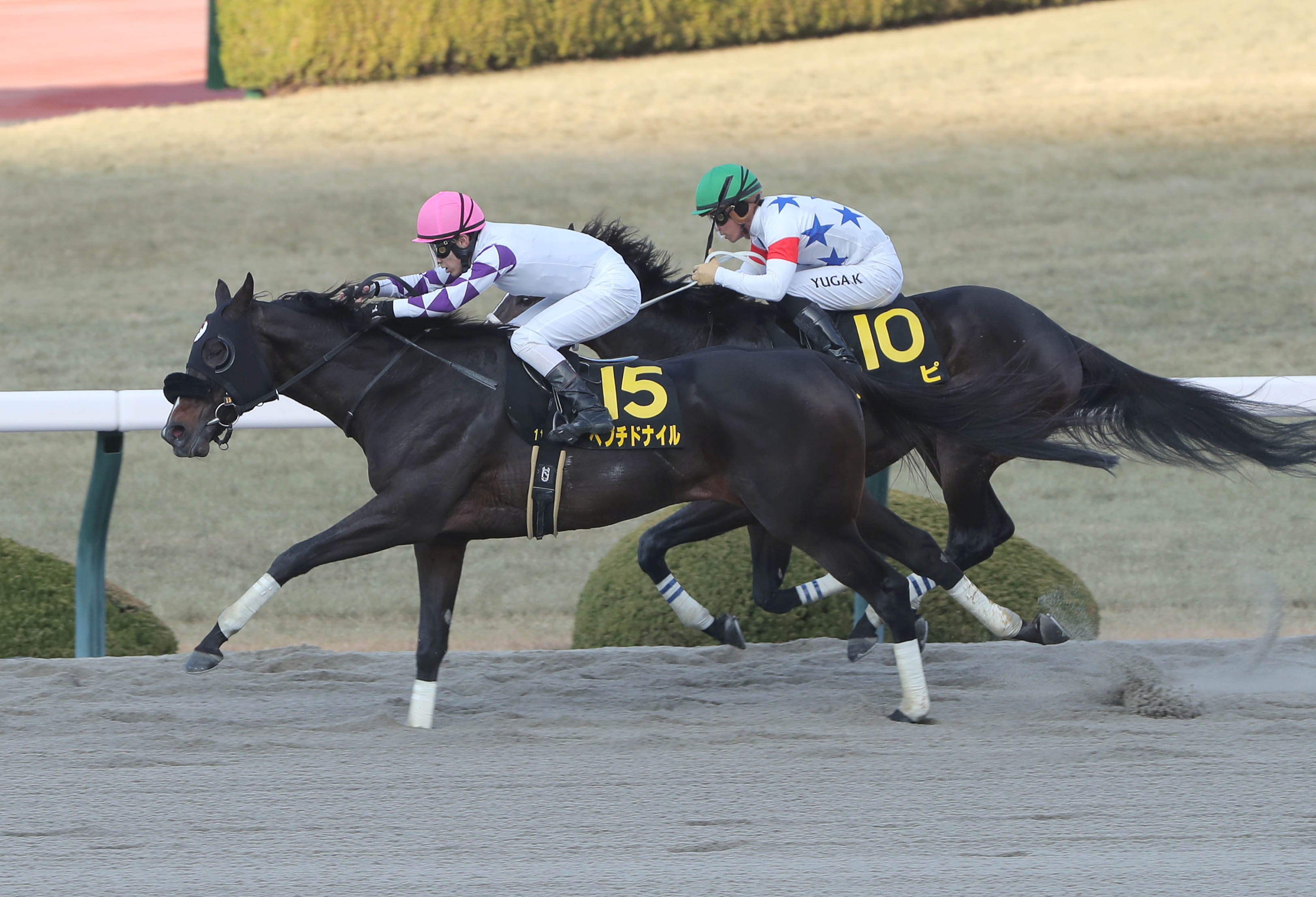 大阪本紙・弘中のフェブラリーS】 | 日刊ゲンダイ競馬