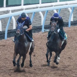 今週は馬なりで１F11秒８