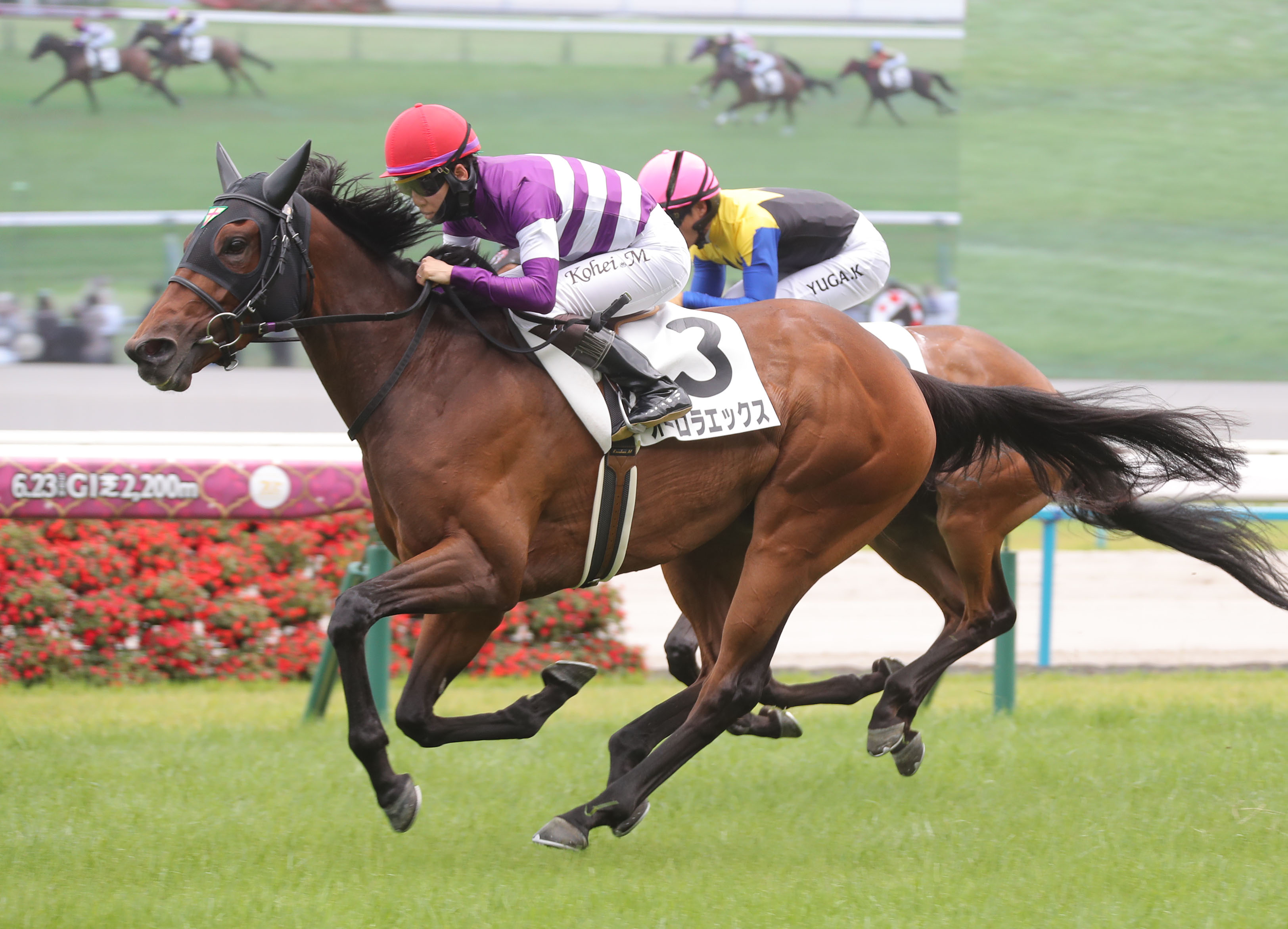 大阪本紙・弘中の土曜京都10R】 | 日刊ゲンダイ競馬