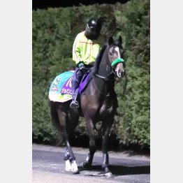 操縦性はメンバー随一