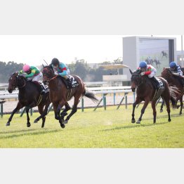 前走の嵯峨野Ｓはメンバー最速の上がりで③着（右）