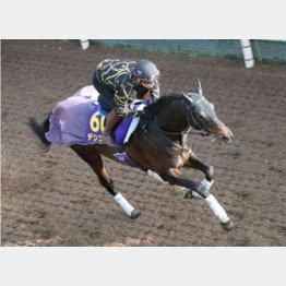 今週は坂路５２秒７－１２秒５