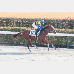 新居記者が推すゴールデンオスカー