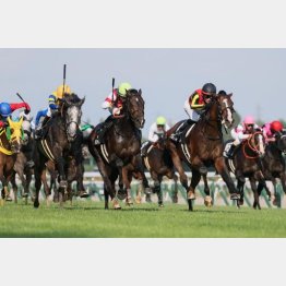 日本海Ｓが好内容（橙帽）