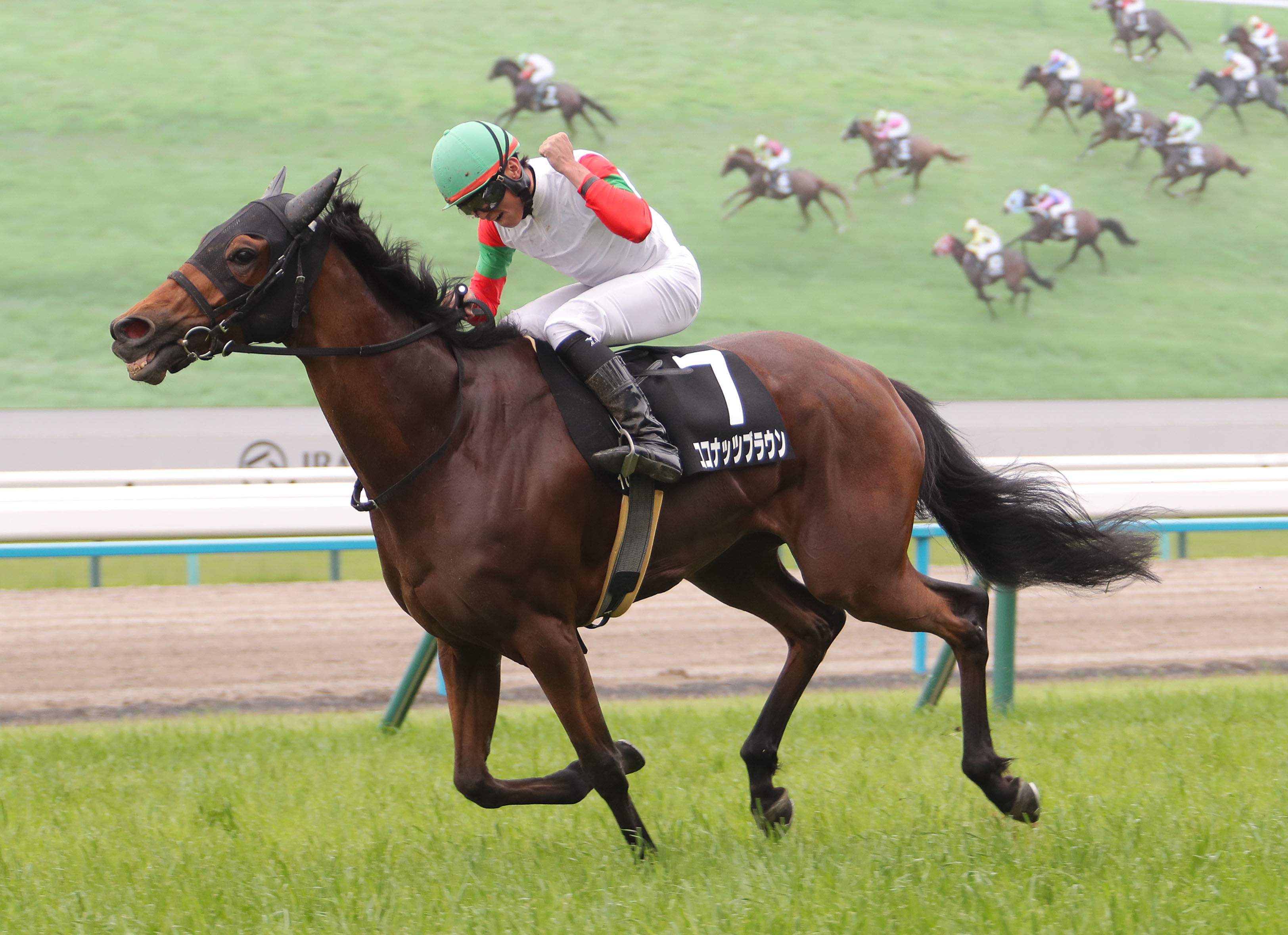 大阪本紙・弘中のエリザベス女王杯】 | 日刊ゲンダイ競馬