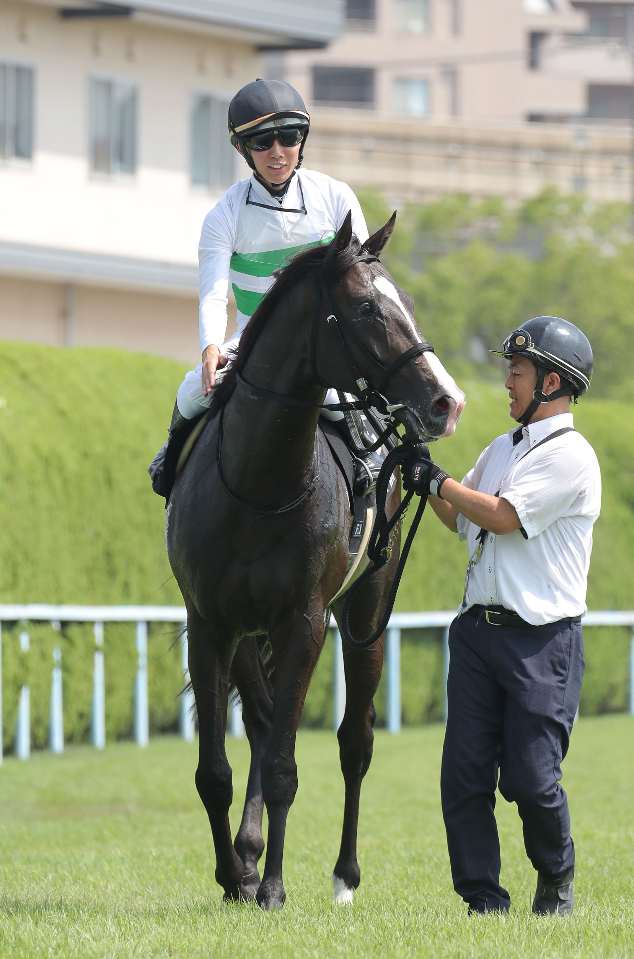 大阪本紙・弘中の土曜阪神12R】 | 日刊ゲンダイ競馬