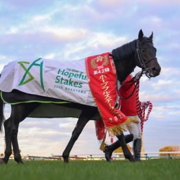 【共同通信杯】◎ロブチェン　３連勝でクラシックへ