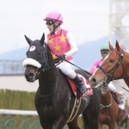 【京都記念】レース後の談話（ネットオリジナル含む）