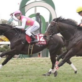 【京都記念】ジョッキー生活も残り３日　藤岡佑ジューンテイクの復活Ｖで感じる厩舎との縁