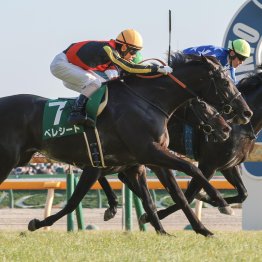 先行力が戻って復活のジューンテイクは二千二百のスペシャリスト！？