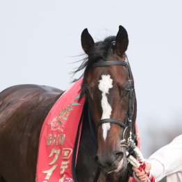 先行力が戻って復活のジューンテイクは二千二百のスペシャリスト！？