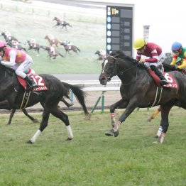 先行力が戻って復活のジューンテイクは二千二百のスペシャリスト！？