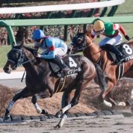 【雲取賞】マクリール３連勝で重賞初Ｖだ