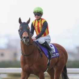 【フェブラリーＳ】復活目指す昨年の勝ち馬コスタノヴァ