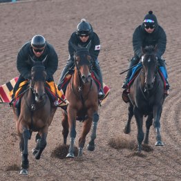 【フェブラリーＳ】調教マル得チェック②