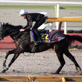 【フェブラリーＳ】ロードクロンヌ、今回も力を出せる 横山和も「チャレンジすることは楽しみ」