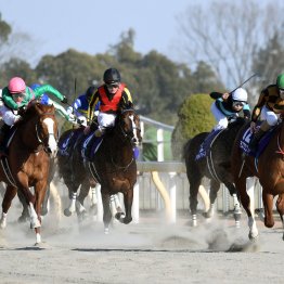 【フェブラリーＳ】データ作戦　ベテラン勢が波乱を呼ぶ！？