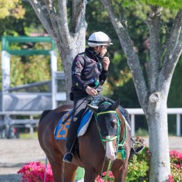 【播磨の土曜競馬コラム・阪急杯】