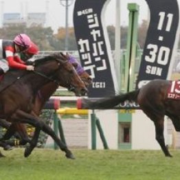 【新居の土曜競馬コラム・ダイヤモンドＳ】