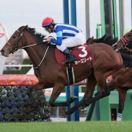 【木津の土曜競馬コラム・ダイヤモンドＳ】