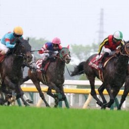 【大谷の土曜競馬コラム・ダイヤモンドＳ】