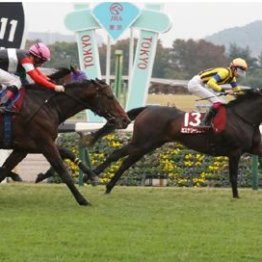 【武田の土曜競馬コラム・ダイヤモンドＳ】
