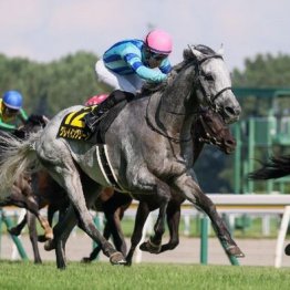 【橘の土曜競馬コラム・阪急杯】