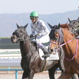 【大阪本紙・弘中の土曜阪神12Ｒ】