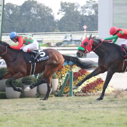 【大阪本紙・弘中の阪急杯】