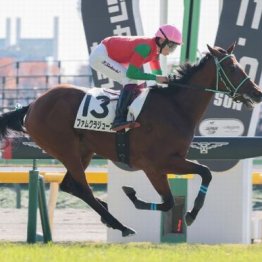 【東京本紙・外山の土曜東京９Ｒ】