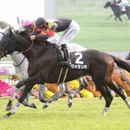 【東京本紙・外山のダイヤモンドＳ】