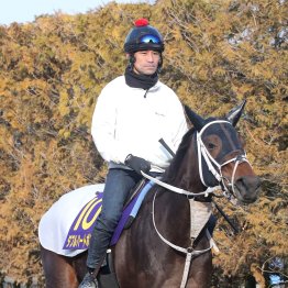 【フェブラリーＳ】出走全馬の特選情報