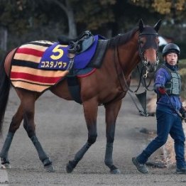 【フェブラリーＳ】出走全馬の特選情報