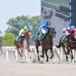 【市川の日曜競馬コラム・フェブラリーＳ】