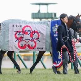 【新居の日曜競馬コラム・フェブラリーＳ】