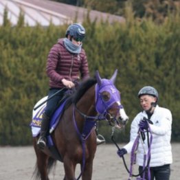 【木津の日曜競馬コラム・フェブラリーＳ】