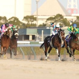 【武田の日曜競馬コラム・フェブラリーＳ】