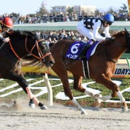 【注目重賞／データで買う・フェブラリーＳ】