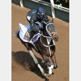 一段と芯が入ってきた