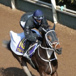 【注目重賞／追い切りで買う・フェブラリーＳ】