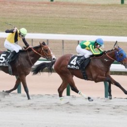 【東京本紙・外山の日曜東京９Ｒ】