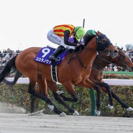 【フェブラリーＳ】◎ウィルソンテソーロ　悲願のＪＲＡＧⅠへ