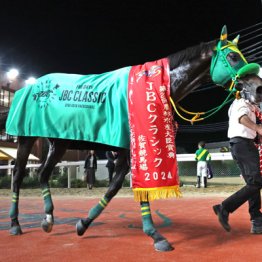 【フェブラリーＳ】◎ウィルソンテソーロ　悲願のＪＲＡＧⅠへ