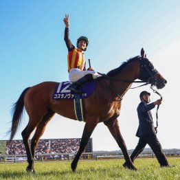 カナロア産駒コスタノヴァ連覇　東京ダート重賞でキンカメ系は８戦連続で連対中