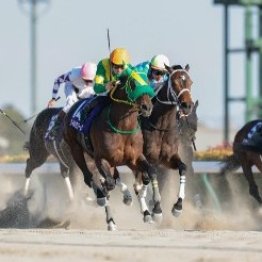 コスタノヴァの走りを昨年と比較すると