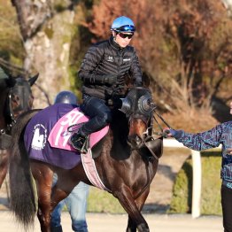 【チューリップ賞】アランカール反撃態勢