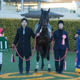 【中山記念】カラマティアノス重賞連勝へ